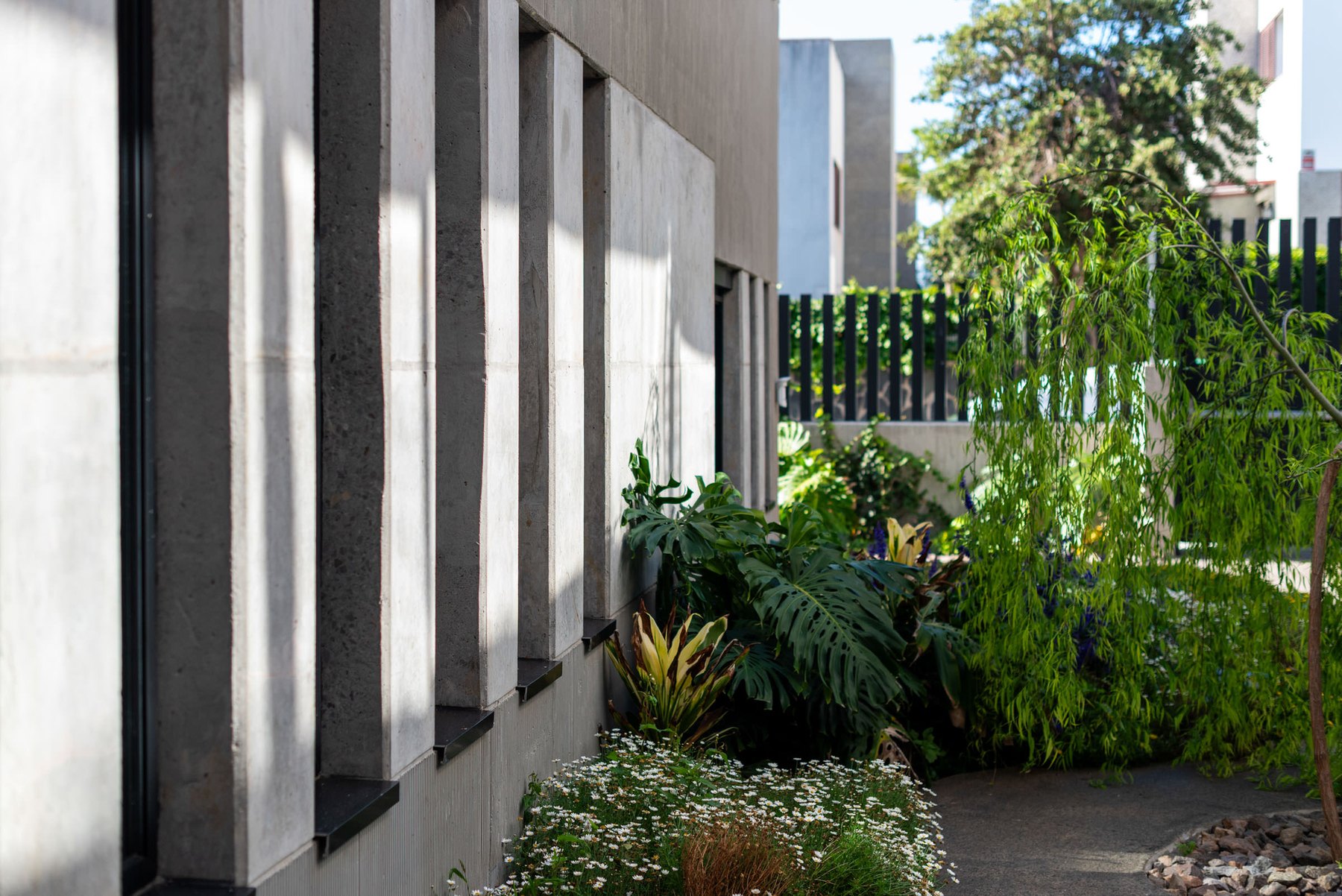 Fotografía del proyecto Centro Sociosanitario San Francisco de Paula realizada por Joaquín Ponce de León
